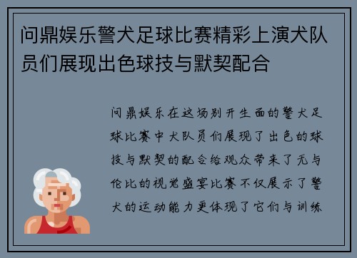 问鼎娱乐警犬足球比赛精彩上演犬队员们展现出色球技与默契配合